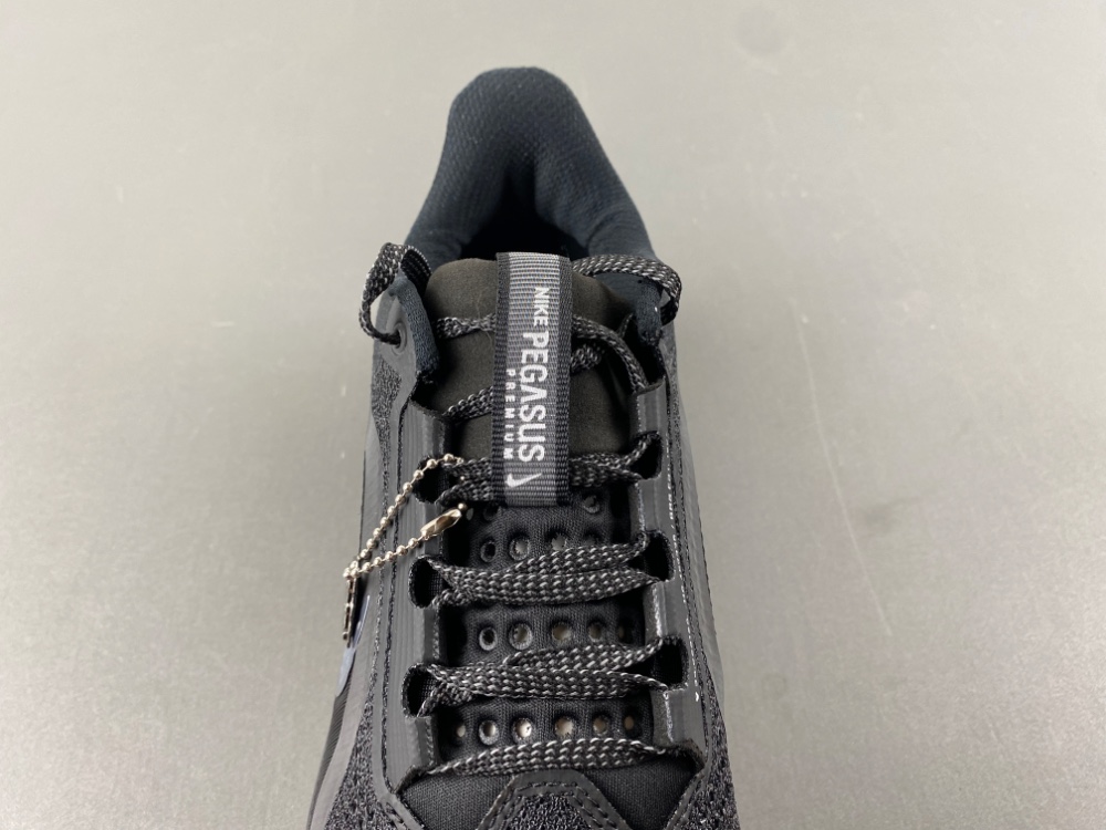 Nike Air Zoom Pegasus Premium HQ2592-005