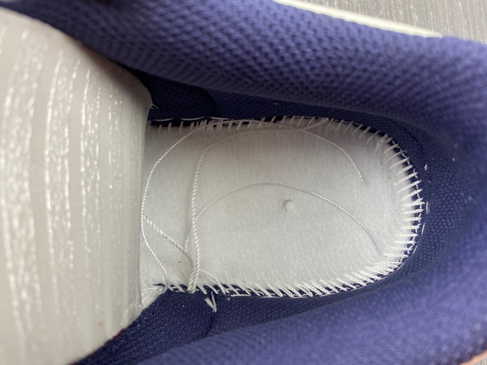 Nike Dunk Low “From Nike To You”FV8113-141