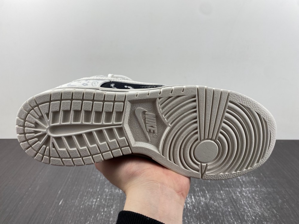 Nike Dunk Low FV8113-144