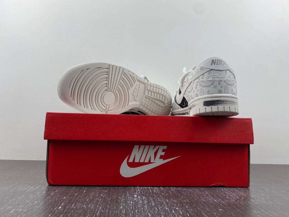 Nike Dunk Low FV8113-144