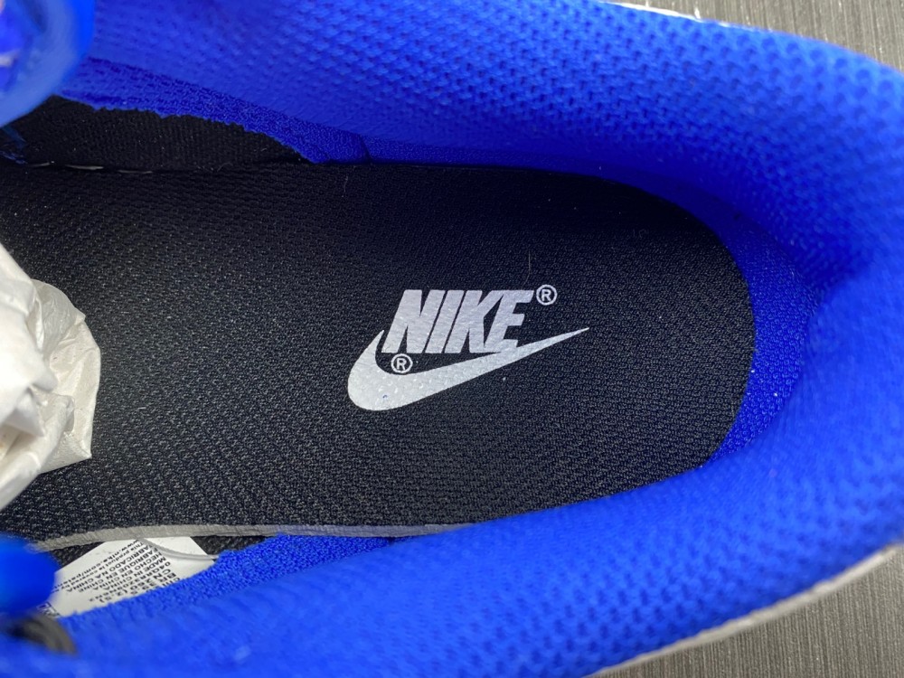 Nike Dunk Low FD9064-110