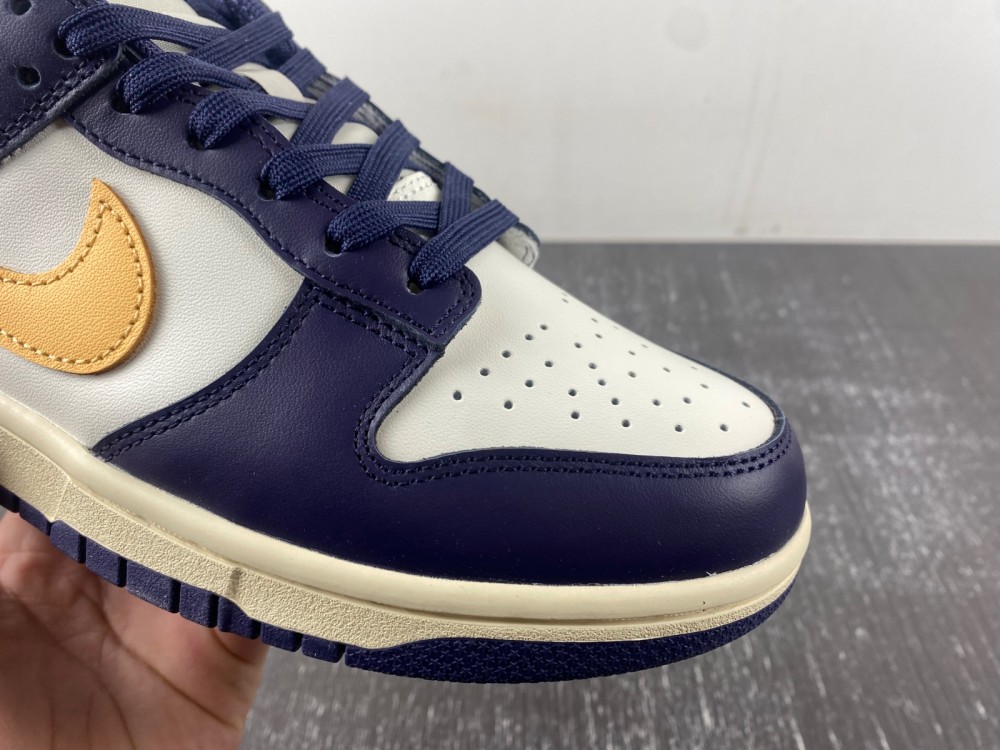 Nike Dunk Low Retro FV8106-181