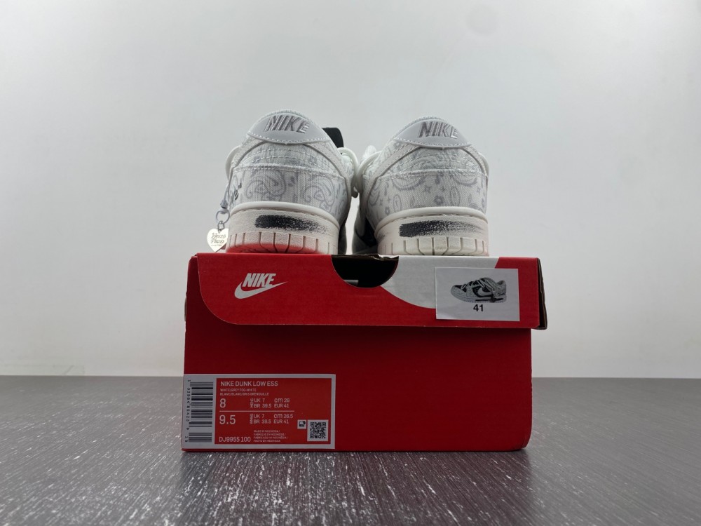 Nike Dunk Low FV8113-144