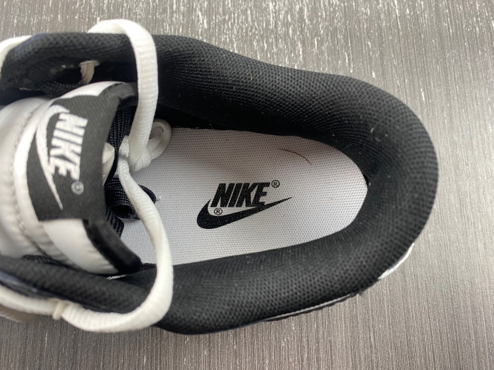 Nike Dunk Low DD1391-100