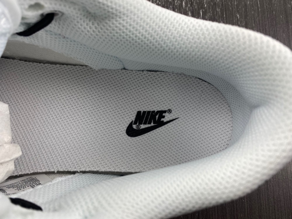 Nike Dunk Low FV8113-143