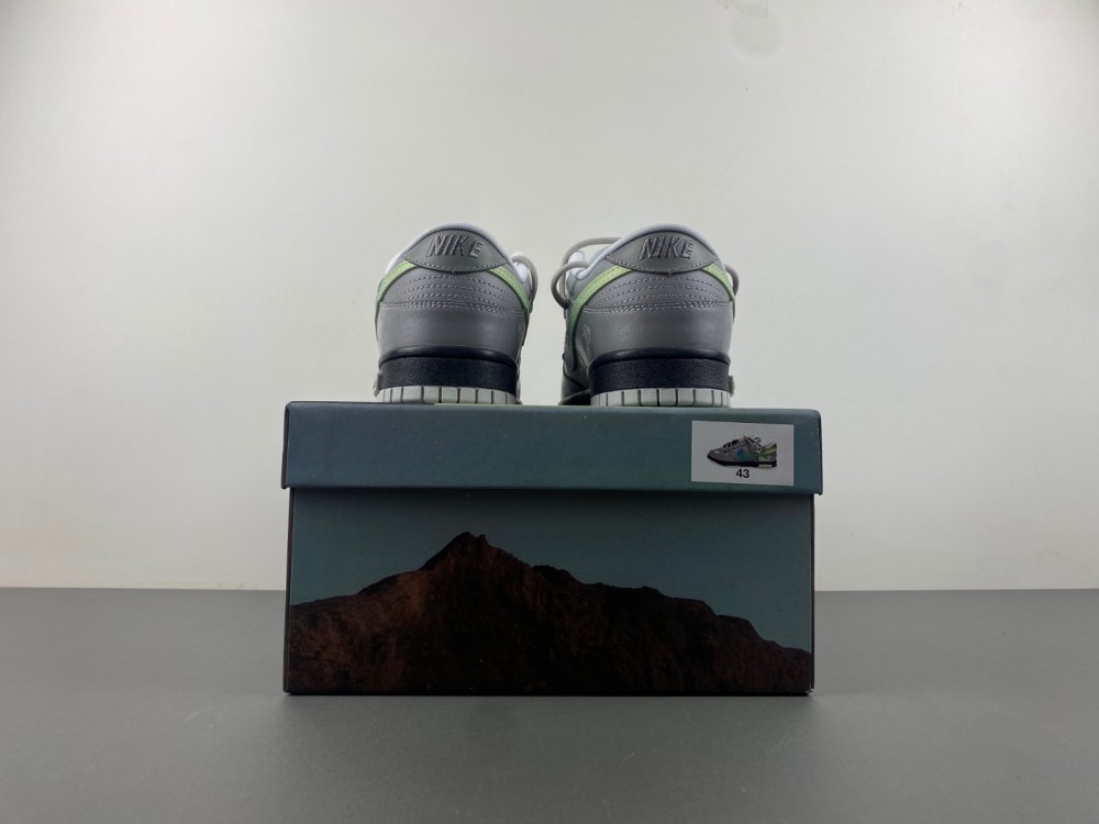 Nike Dunk LOW DV0831-101