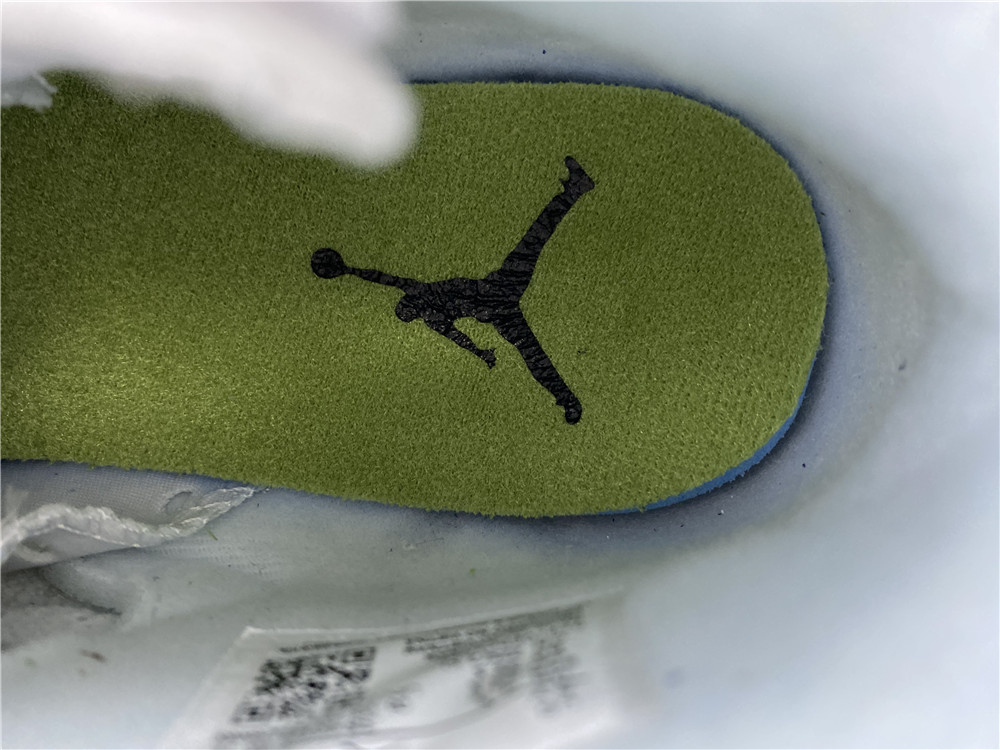 Air Jordan GS Retro Alligator