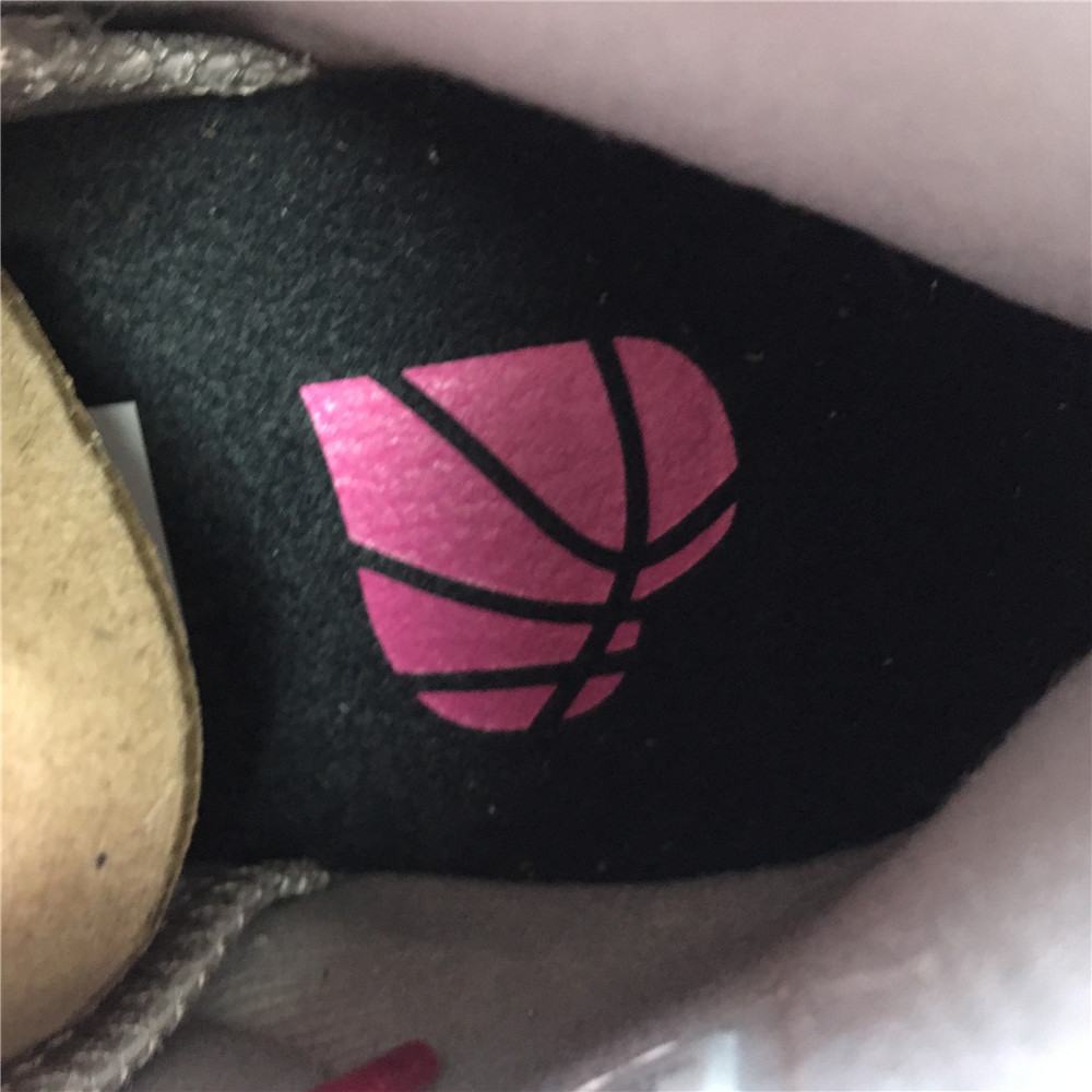 Air Jordan Jordann 6 Retro PS 