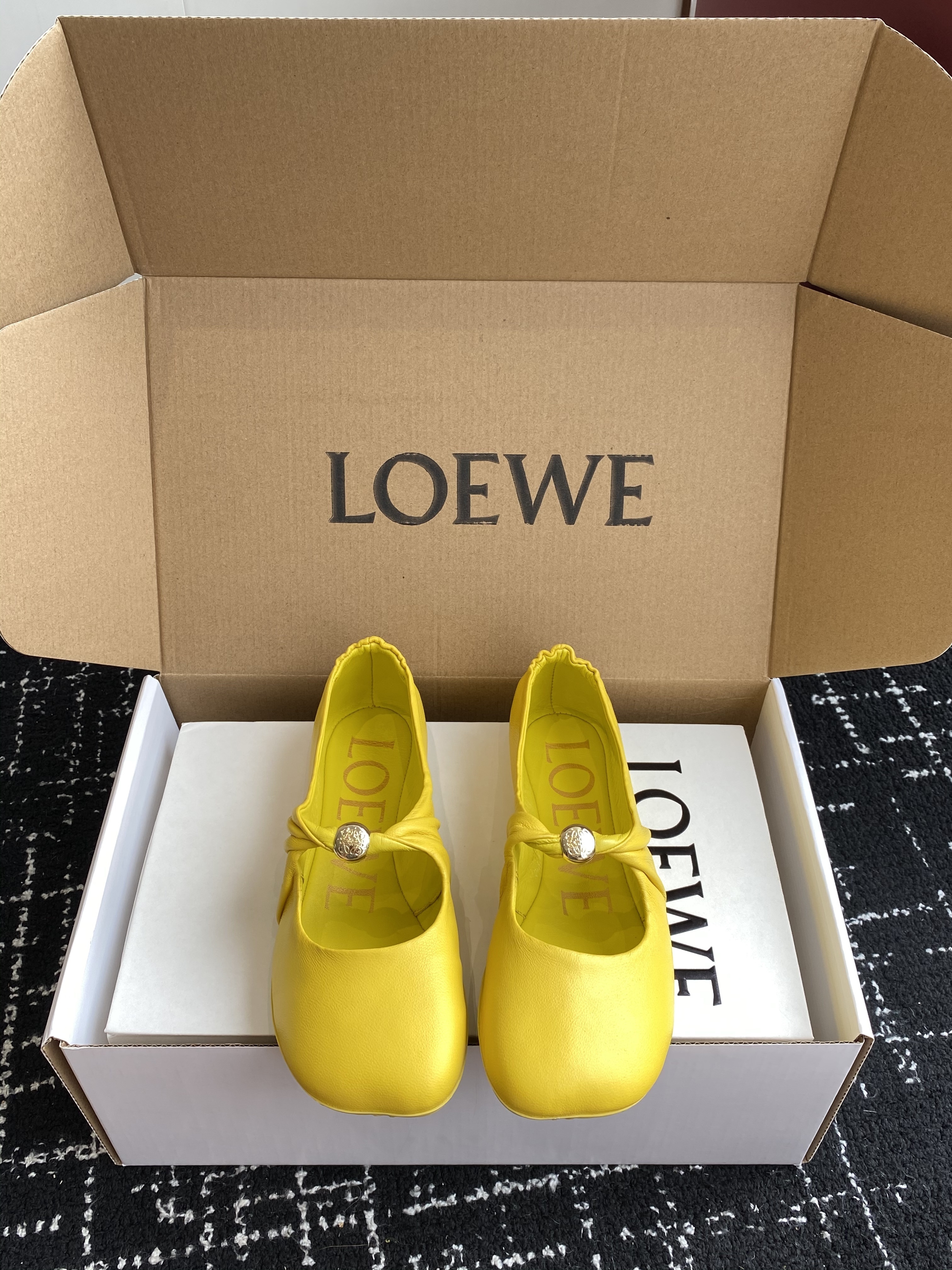 Loewe Pebble Ballerinas
